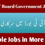 PITB Jobs 2024 - Punjab IT Board Government Jobs