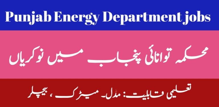 Punjab Energy Department(PED)Jobs 2024