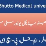 Benazir Bhutto Medical University Jobs 2024