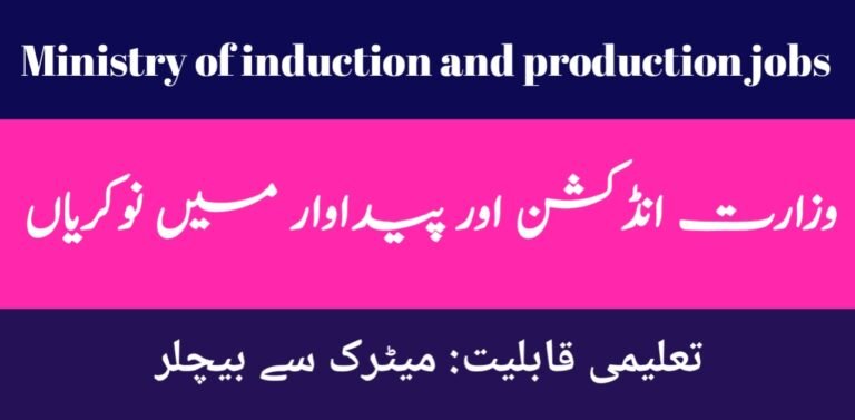 Ministry of Industries & Production Jobs 2024