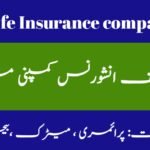 Postal Life Insurance Company Limited PLIC Jobs 2024