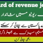 Board of revenue jobs 2024