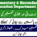 Elementary & Secondary Education Department Jobs 2024