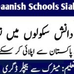 Punjab Daanish Schools Sialkot Jobs 2024