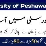 University of Peshawar Jobs 2024