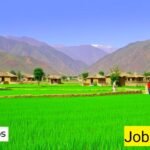 KP Rural Economic Transformation Jobs 2024